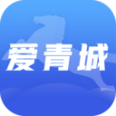 爱青城v1.2.6 安卓版