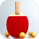 虚拟乒乓球 v2.3.1安卓版
